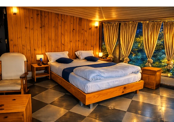 Super Deluxe AC Room