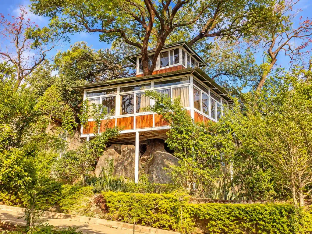 Tree House